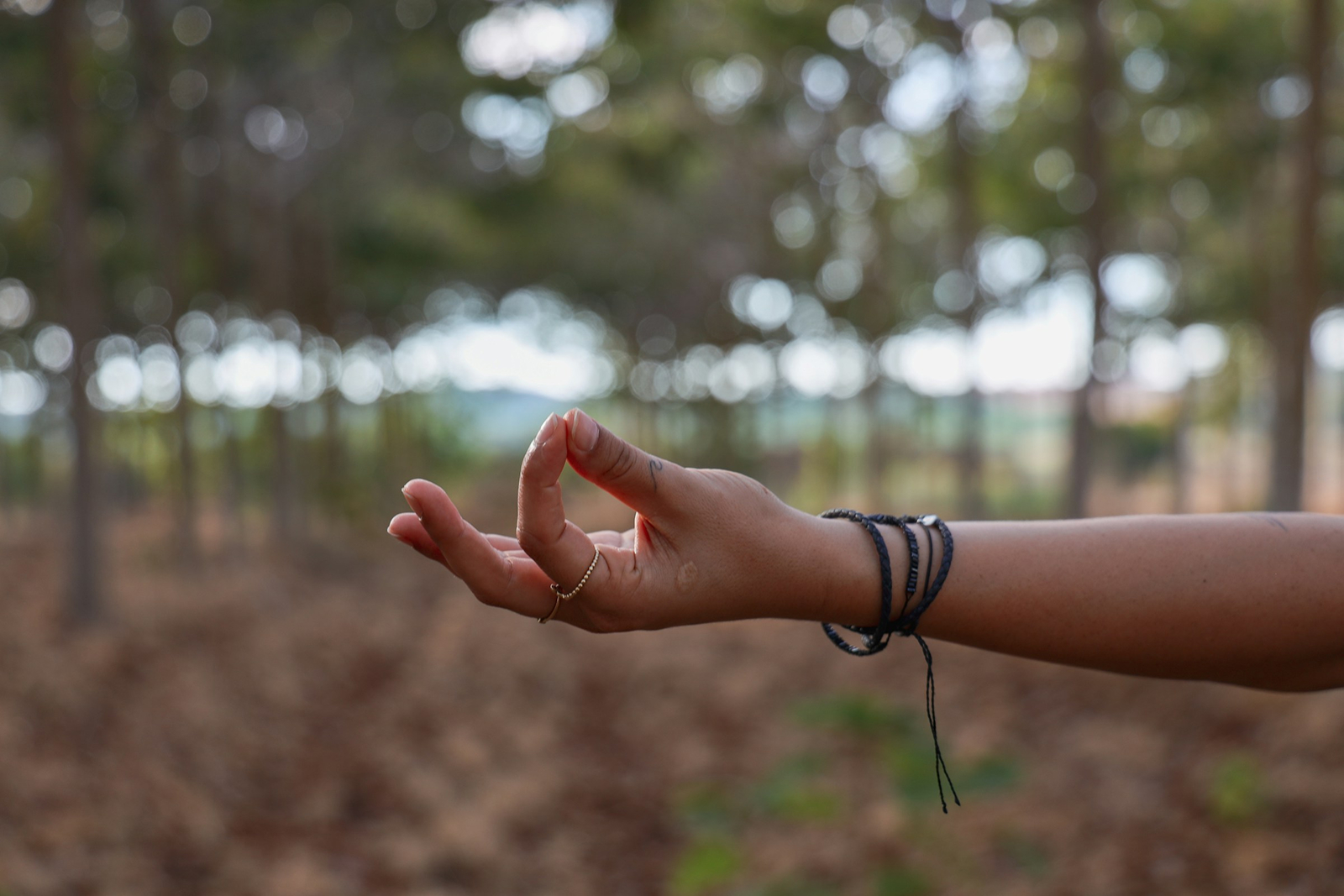Yoga courses for beginners