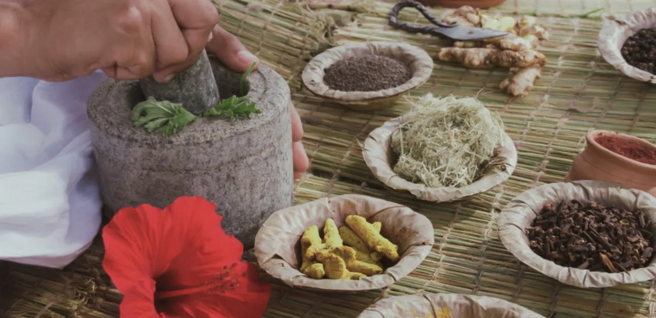 Ayurveda & the Doshas